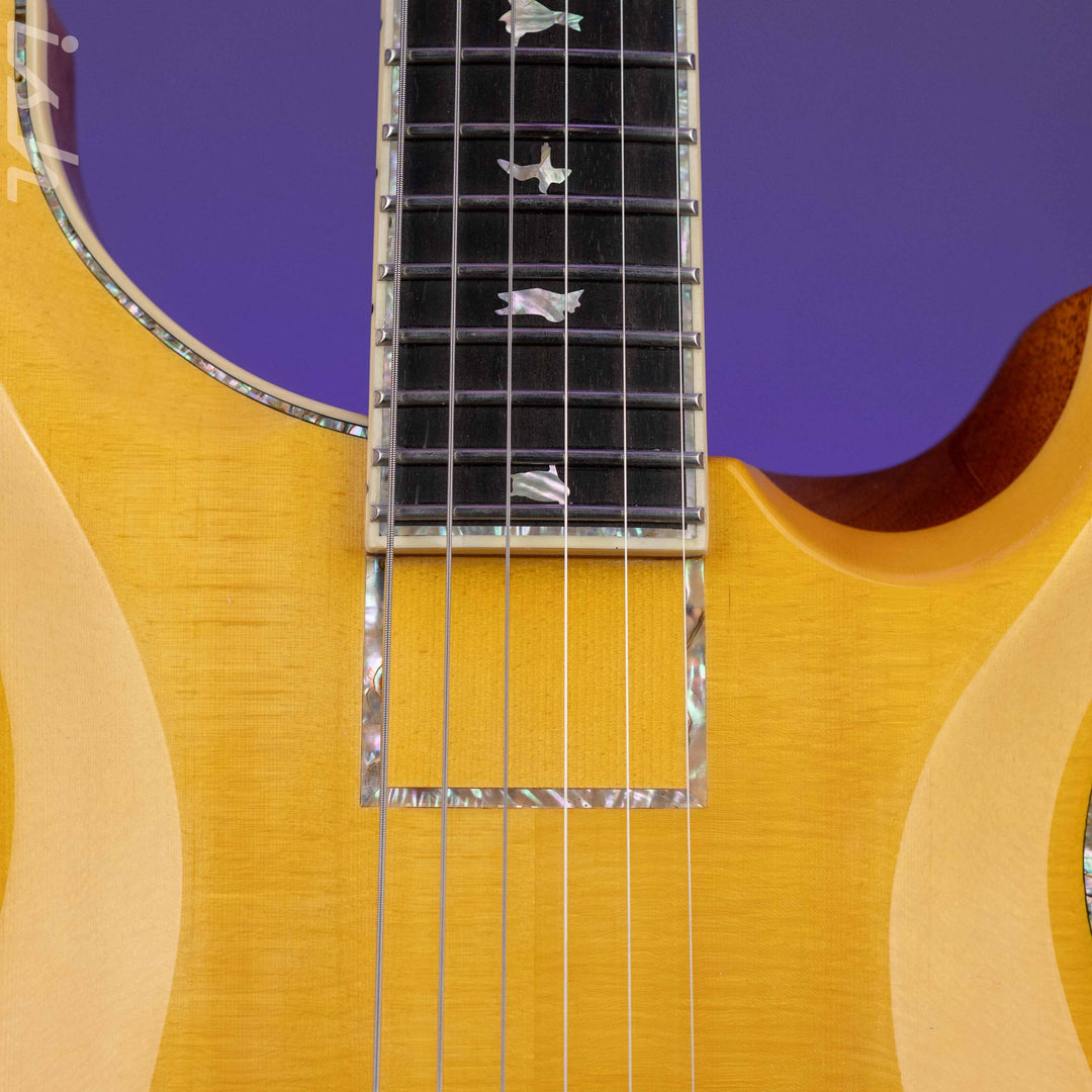 PRS Private Stock Custom 24 Piezo &