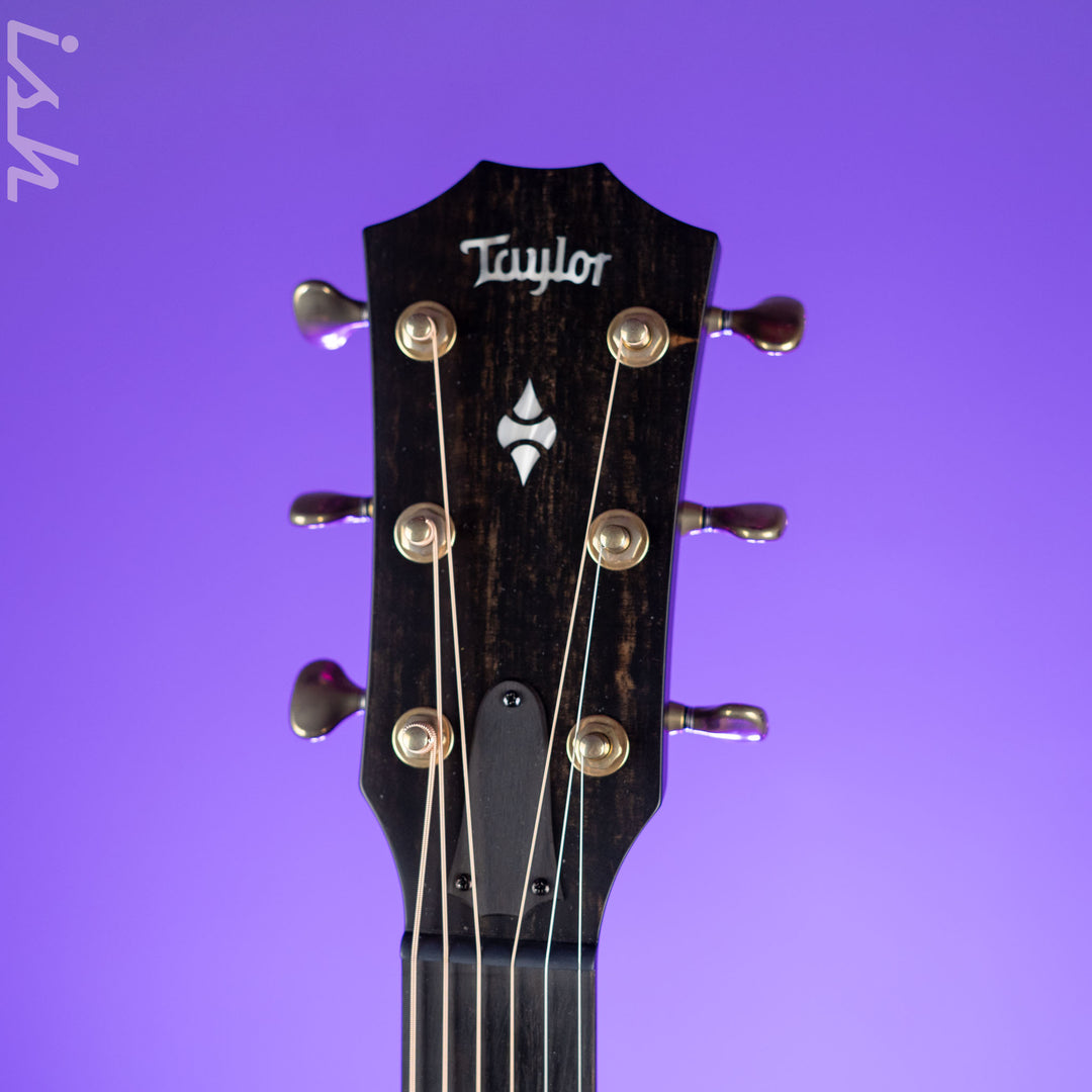 Taylor Builder&