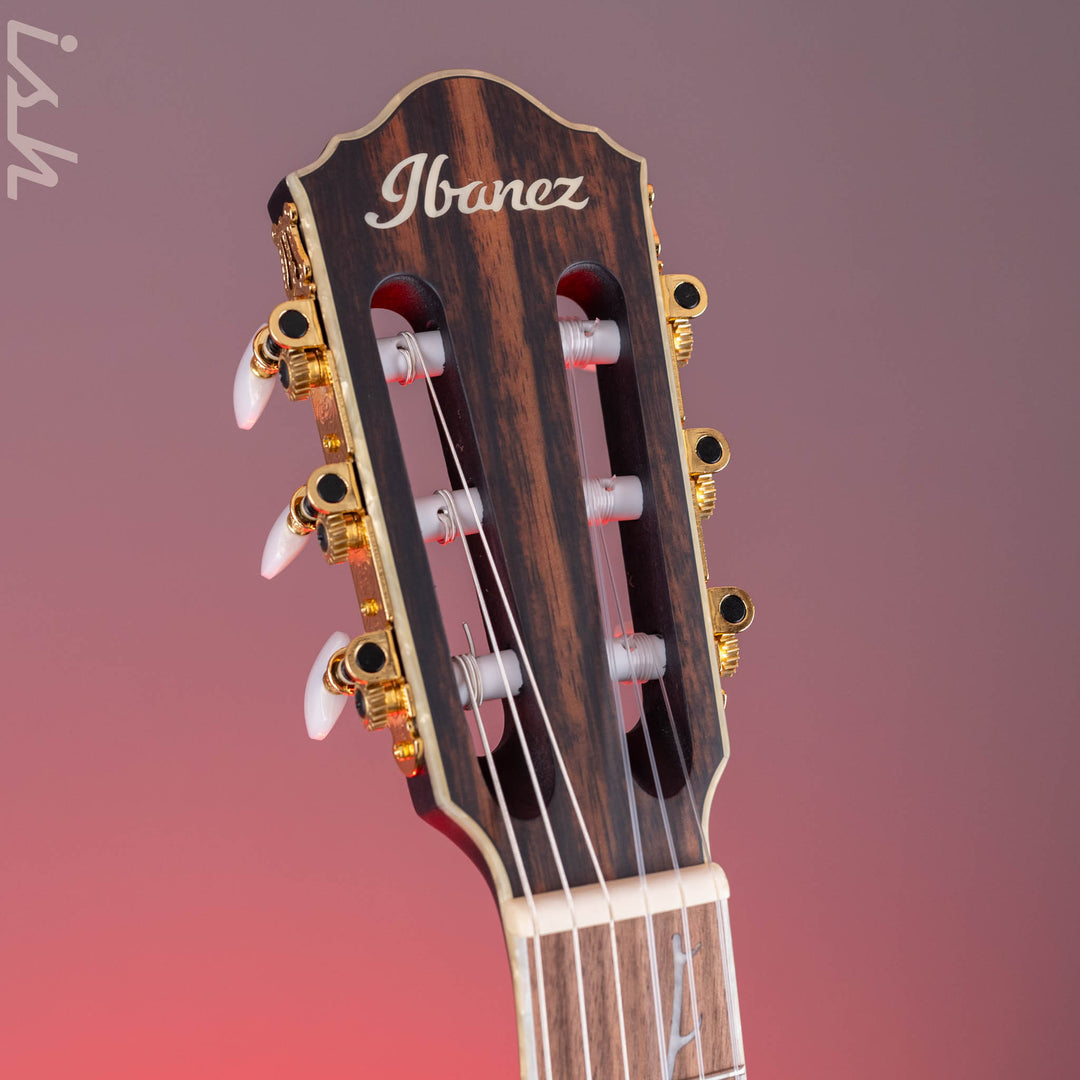 Ibanez TOD10N Tim Henson Signature Nylon Acoustic-Electric Guitar Transparent Black Flat Demo
