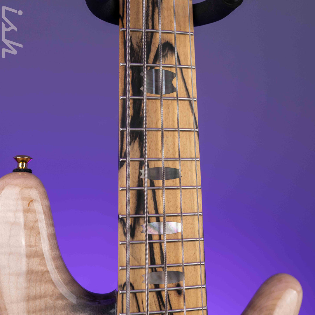 Spector USA NS-5XL 5-String Bass Super Faded Black Reverse Burst Demo