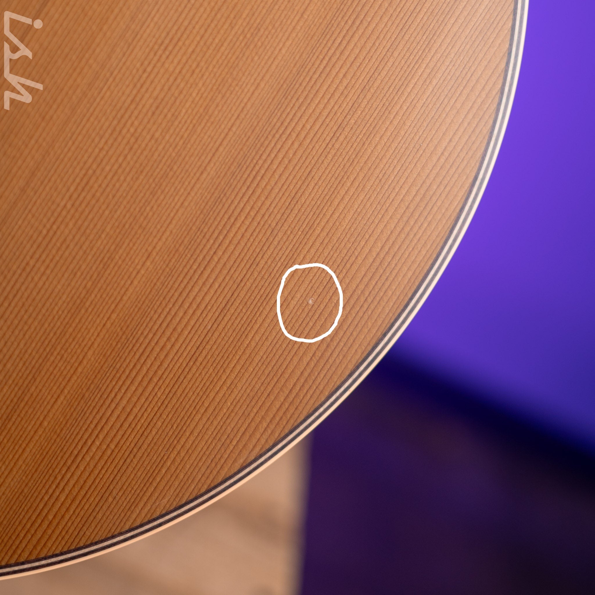 2006 Takamine EAN40C Natural – Ish Guitars