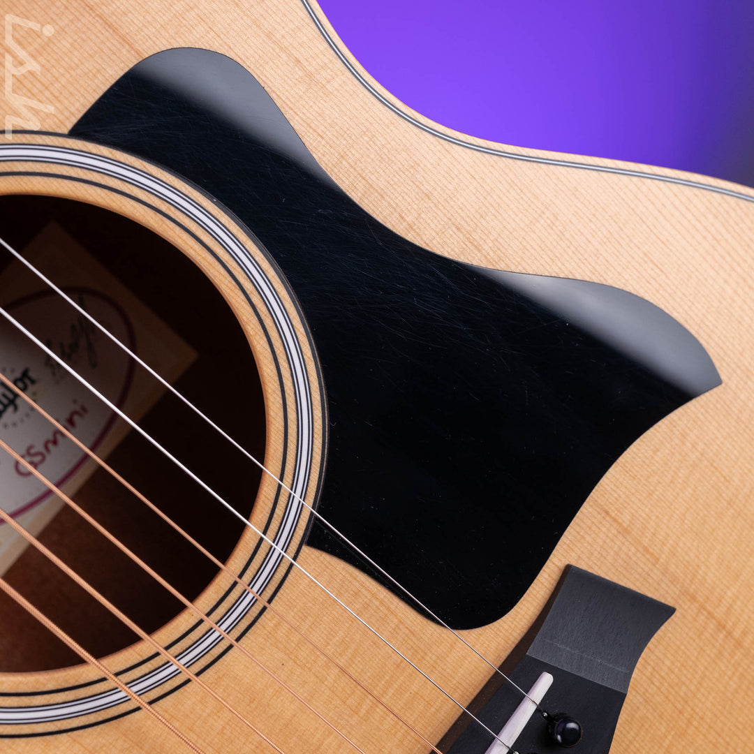 2025 Taylor GS Mini