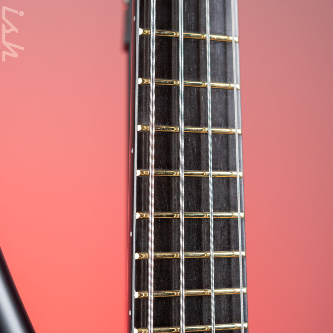 Ish x Warwick Dolphin SN TCS Custom Shop Endangered Species 4-String Bass Black Satin Ebony Fretboard
