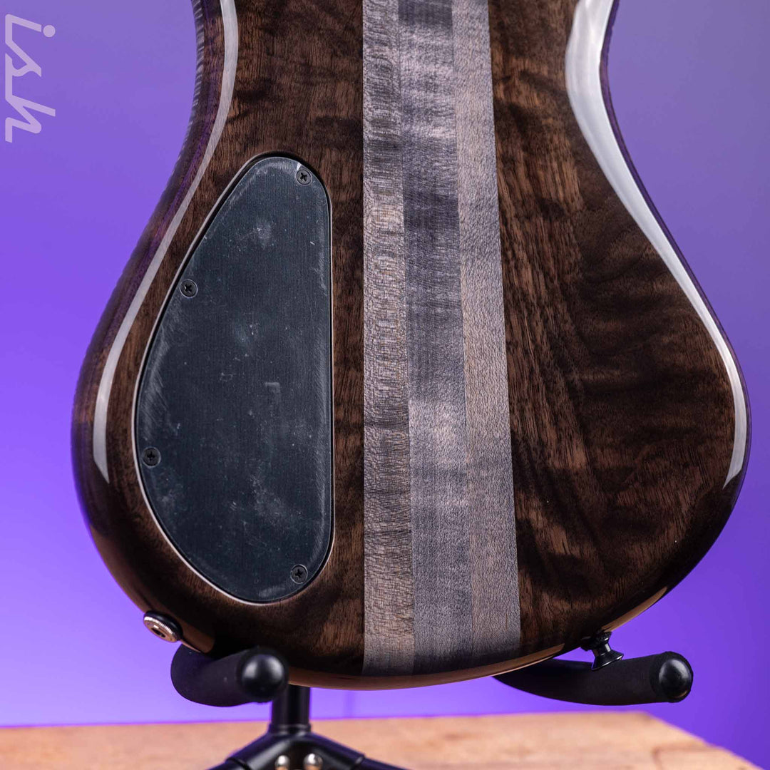 Spector USA NS-2 Fretless 4-String Bass Super Faded Black