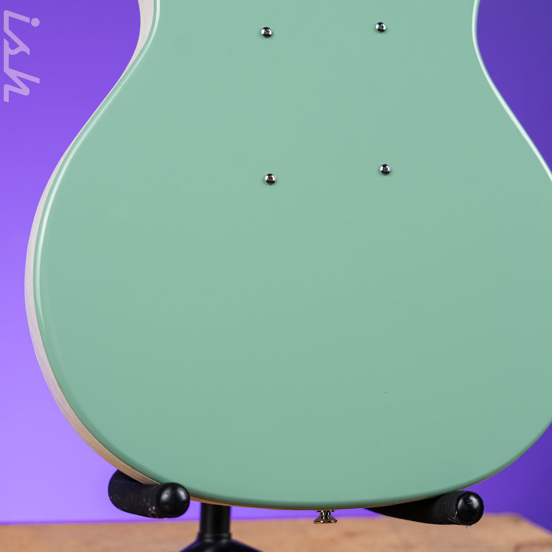 Danelectro Stock &