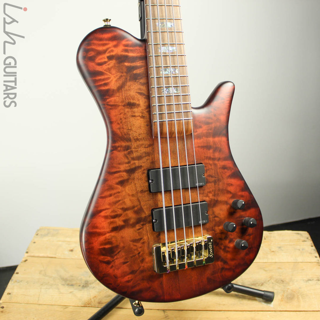 Spector Singlecut SC5 NS-5 Bass Ultra Amber Burst Matte Flame Maple