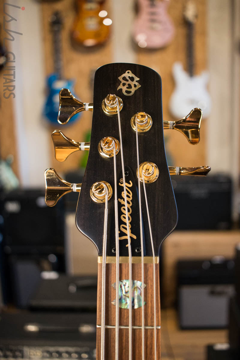 Spector Singlecut SC5 NS-5 Bass Ultra Amber Burst Matte Flame Maple