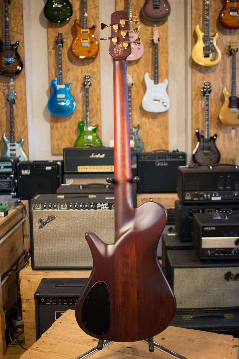 Spector Singlecut SC5 NS-5 Bass Ultra Amber Burst Matte Flame Maple
