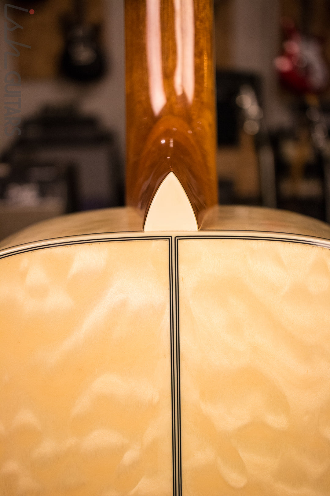 Ibanez Acoustic