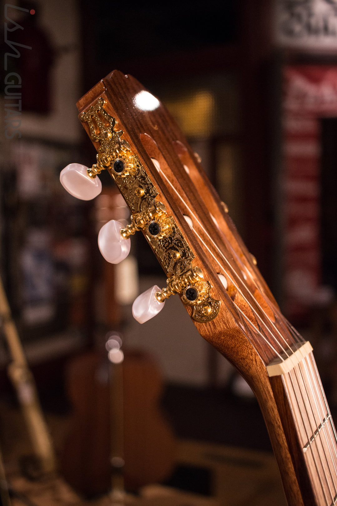 Takamine G Series GC5CE-NAT Acoustic Guitar