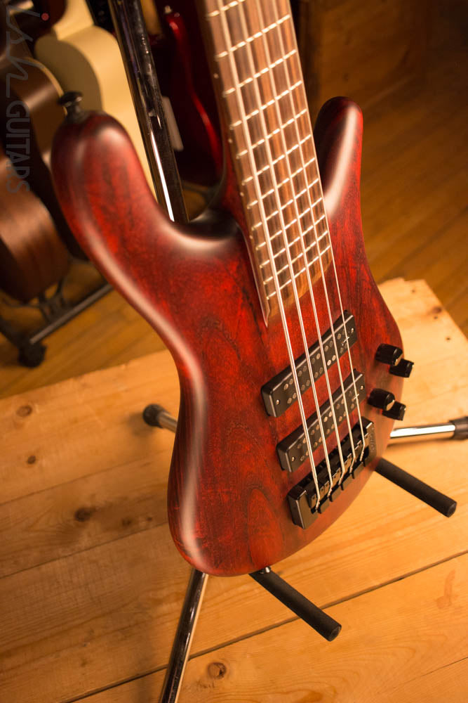 Spector Forte 5 Black Cherry Aguilar Super Double