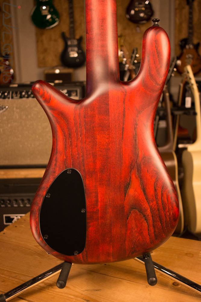 Spector Forte 5 Black Cherry Aguilar Super Double