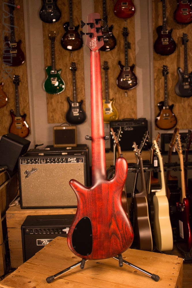 Spector Forte 5 Black Cherry Aguilar Super Double