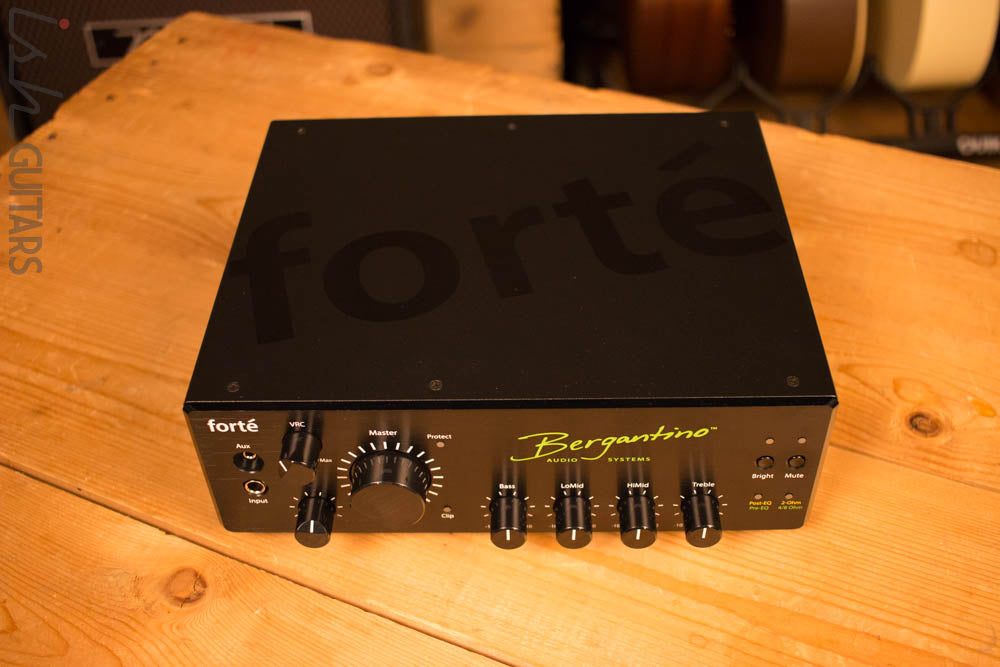 Bergantino Forté Bass Amp D Class Head