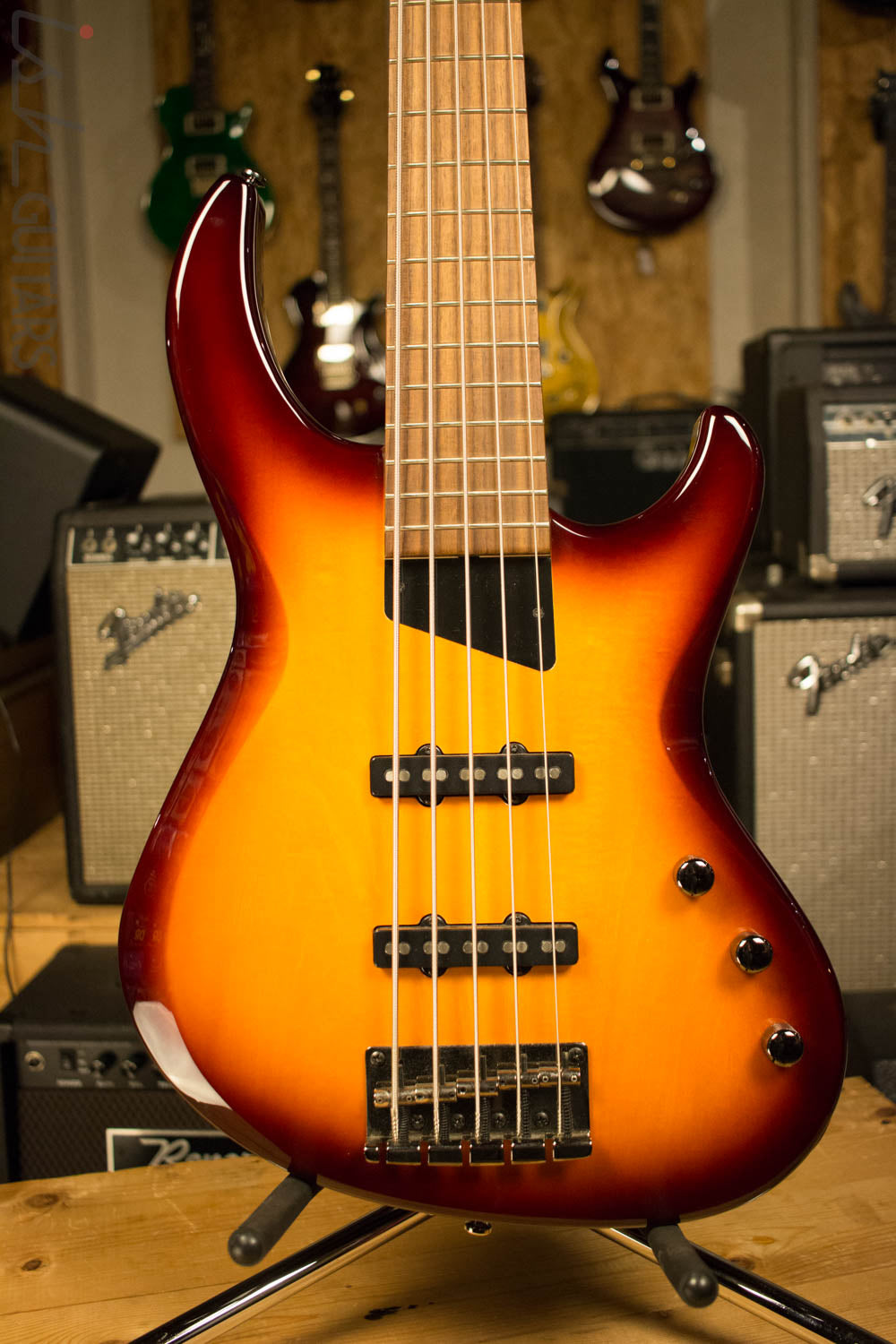 MTD Kingston Saratoga 5 String