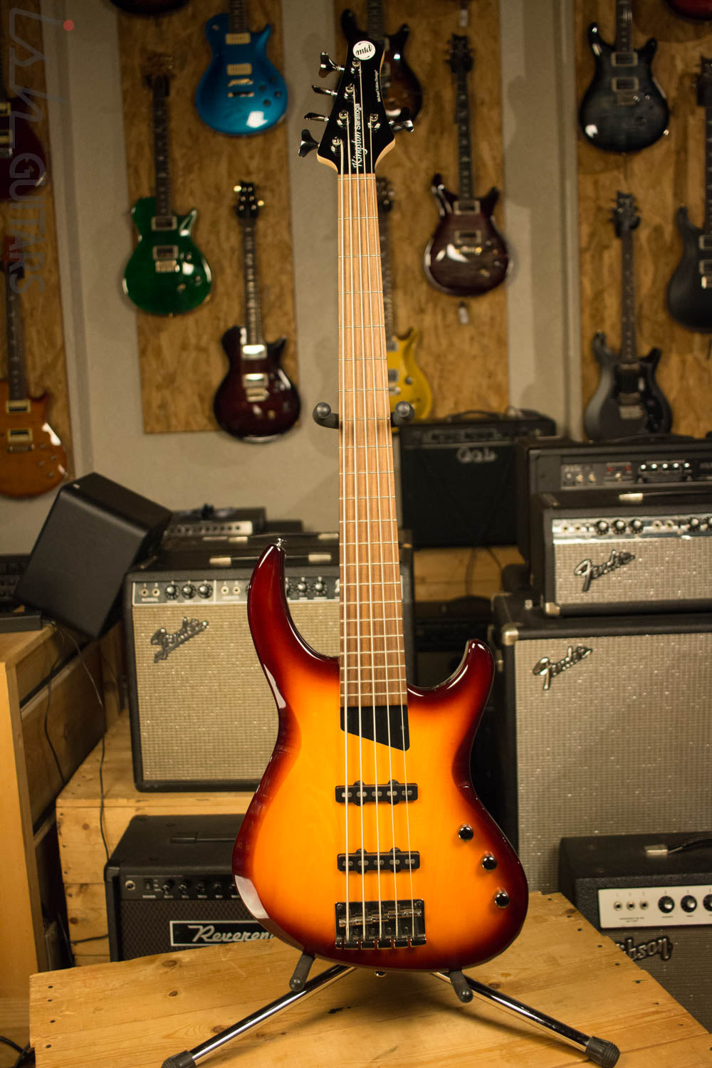 MTD Kingston Saratoga 5 String
