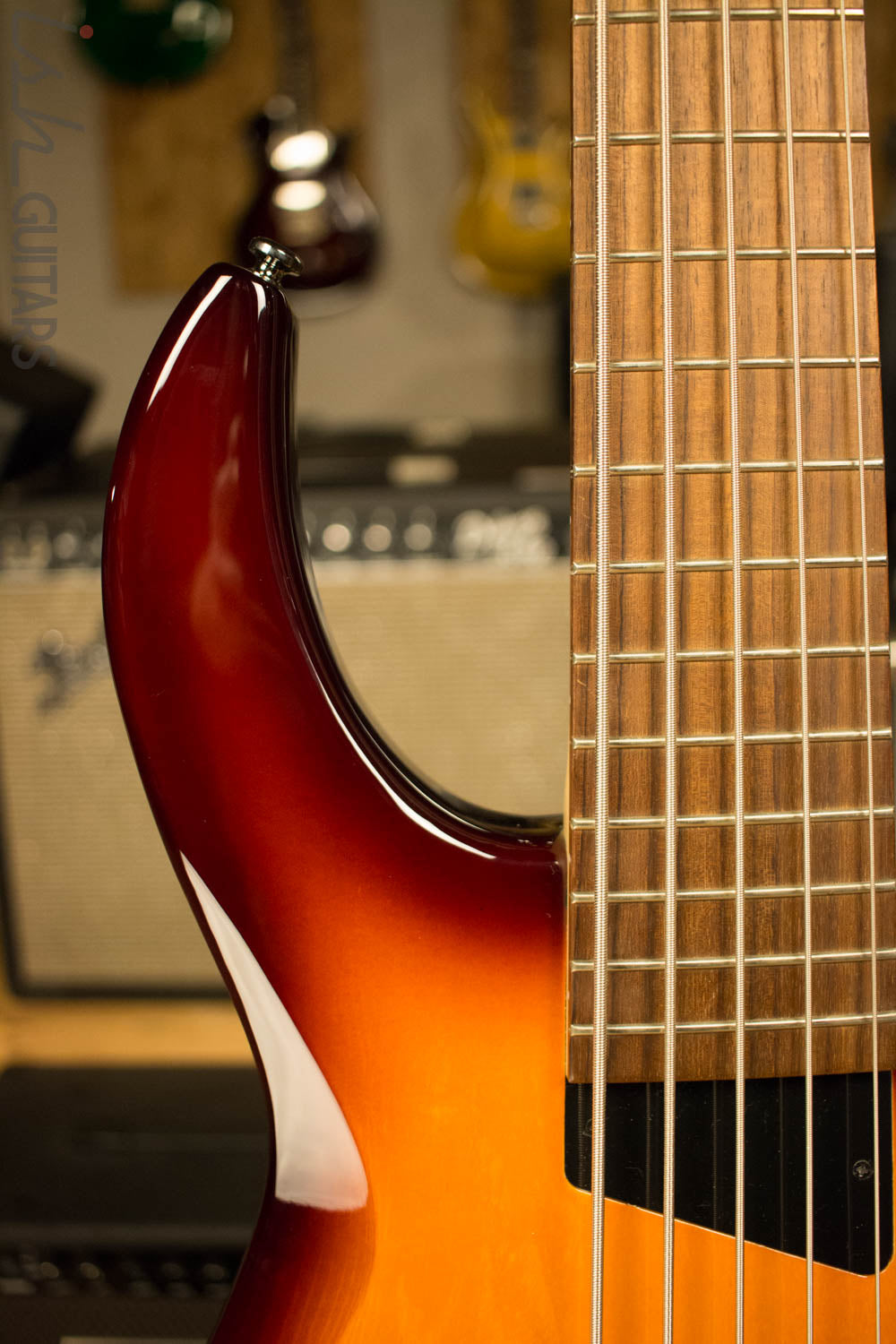 MTD Kingston Saratoga 5 String