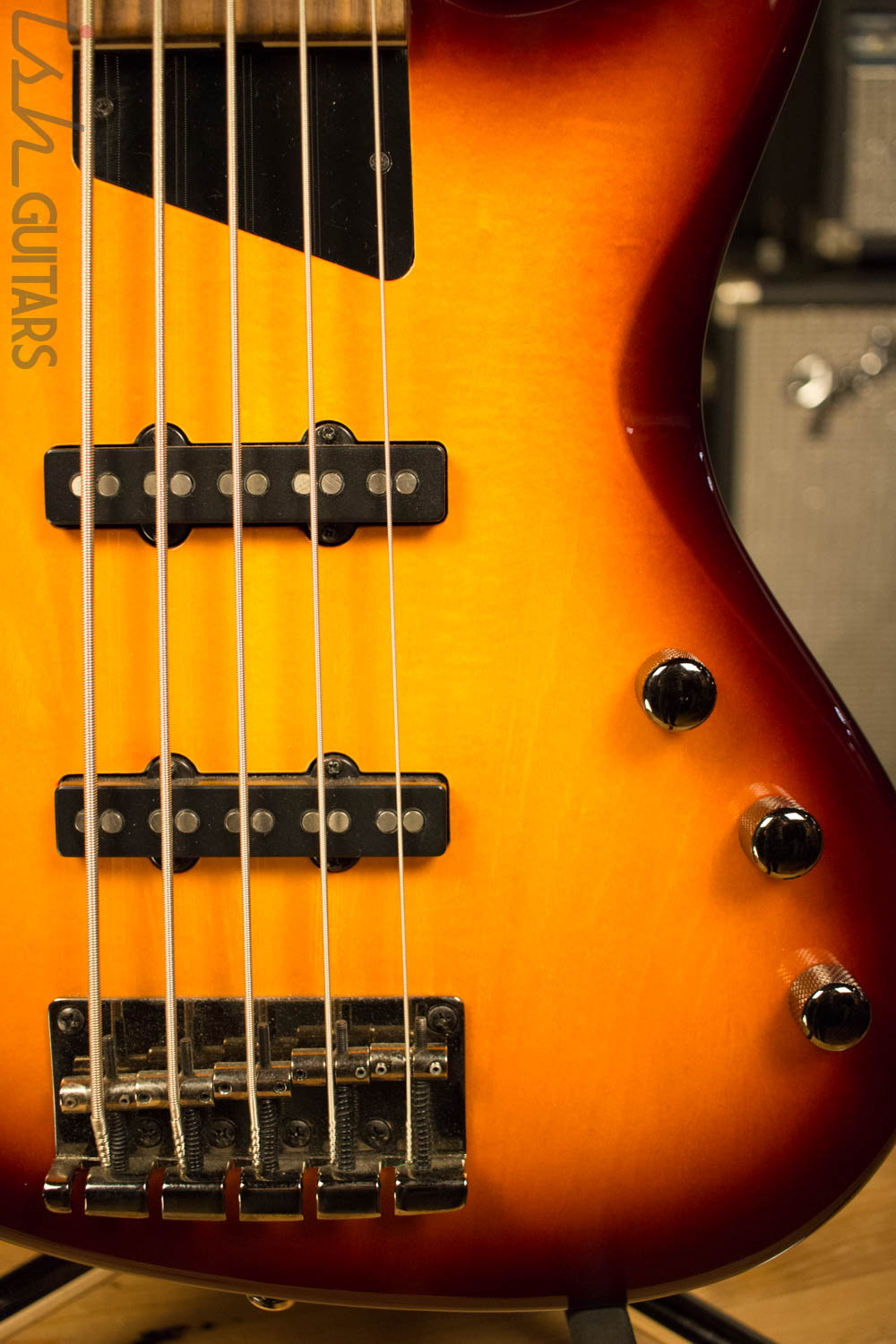 MTD Kingston Saratoga 5 String