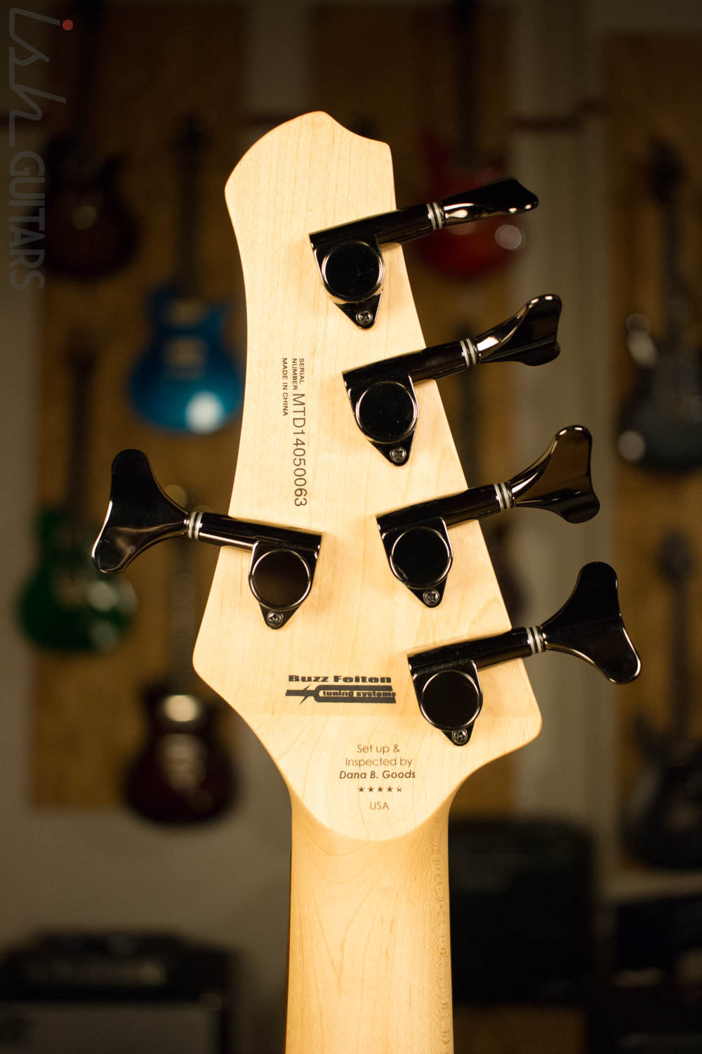 MTD Kingston Saratoga 5 String