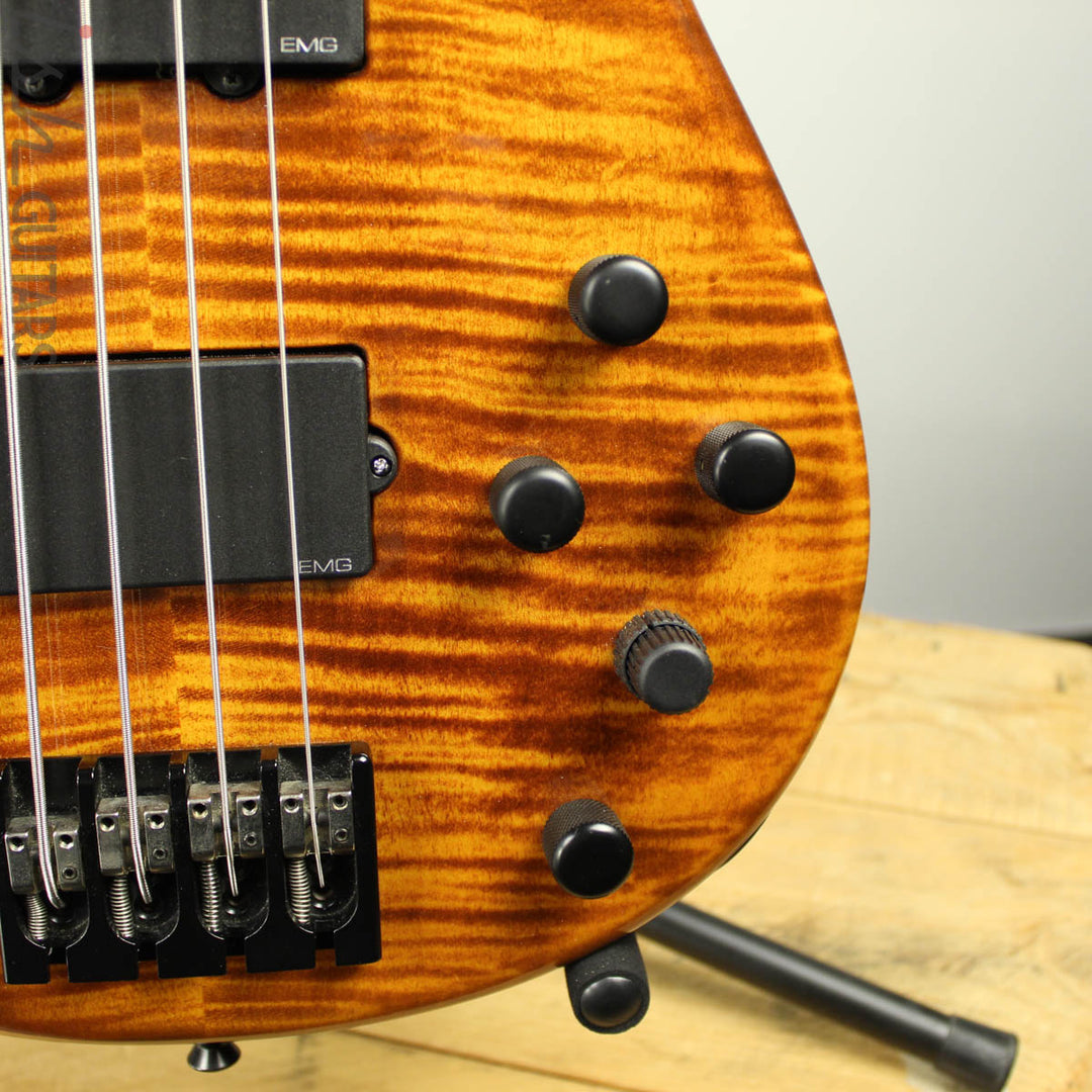 Peavey USA Millennium 4 Plus Tiger Eye Flame