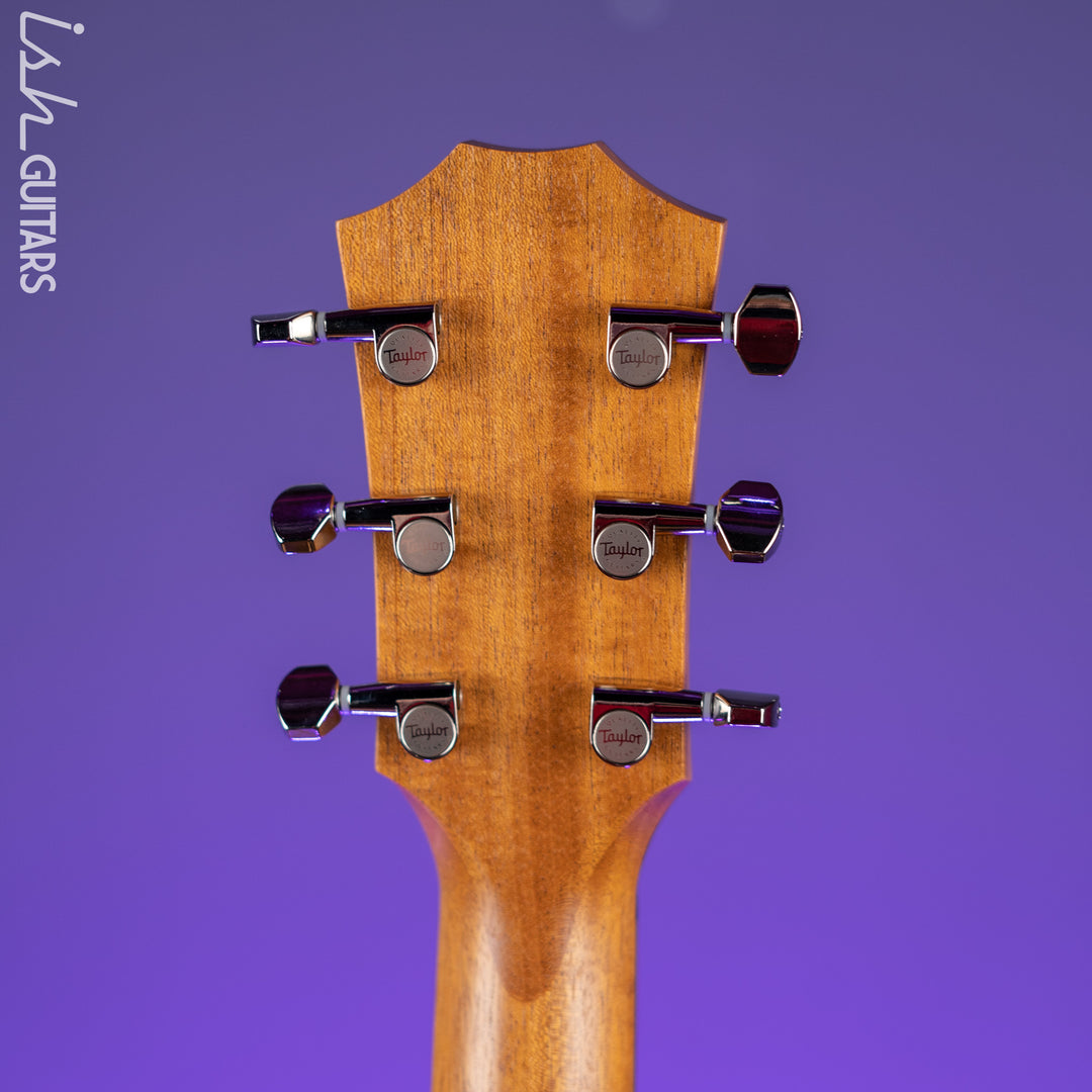 2021 Taylor GT Urban Ash/Spruce