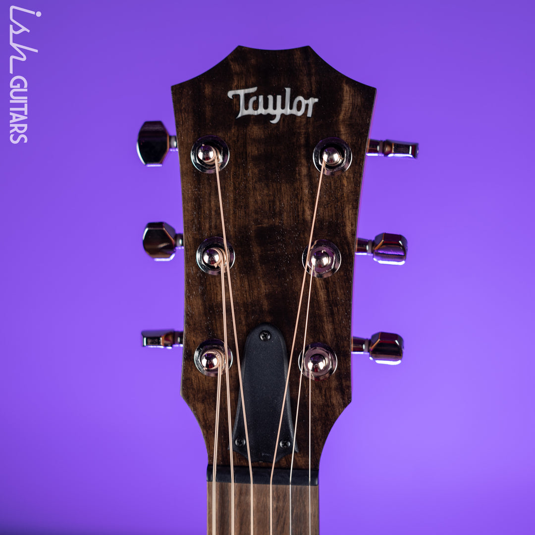 2021 Taylor GT Urban Ash/Spruce