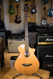 Breedlove Solo Acoustic Electric Bass Guitar