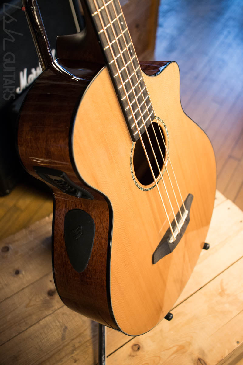 Breedlove Solo Acoustic Electric Bass Guitar