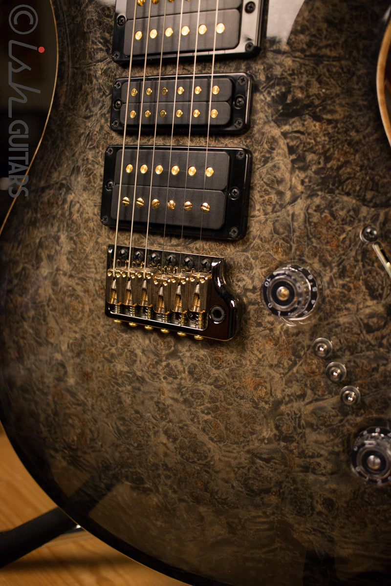 Paul Reed Smith PRS Private Stock Custom 24 Ish Guitars Exclusive