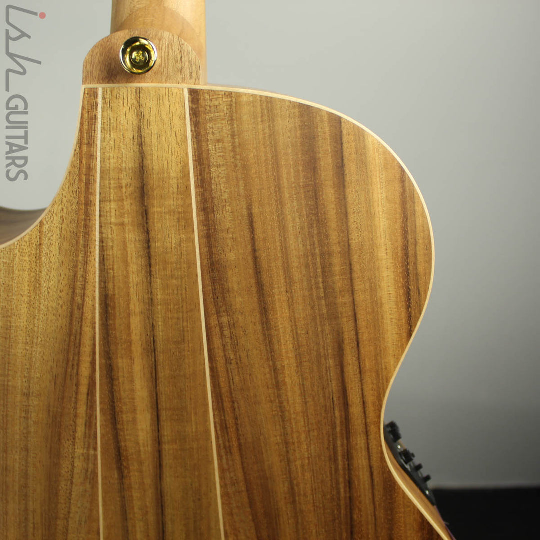 Cole Clark Angel AN2EC-RDBLSB Redwood Top w/ Blackwood Back and Sides
