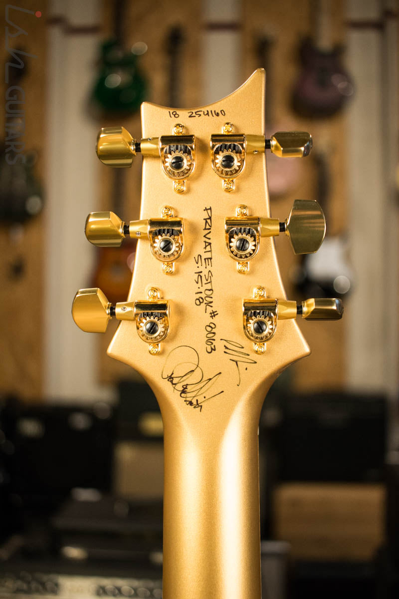 PRS Paul Reed Smith Private Stock McCarty 594 Semi-Hollow Bigsby "Father" (DEMO VIDEO)