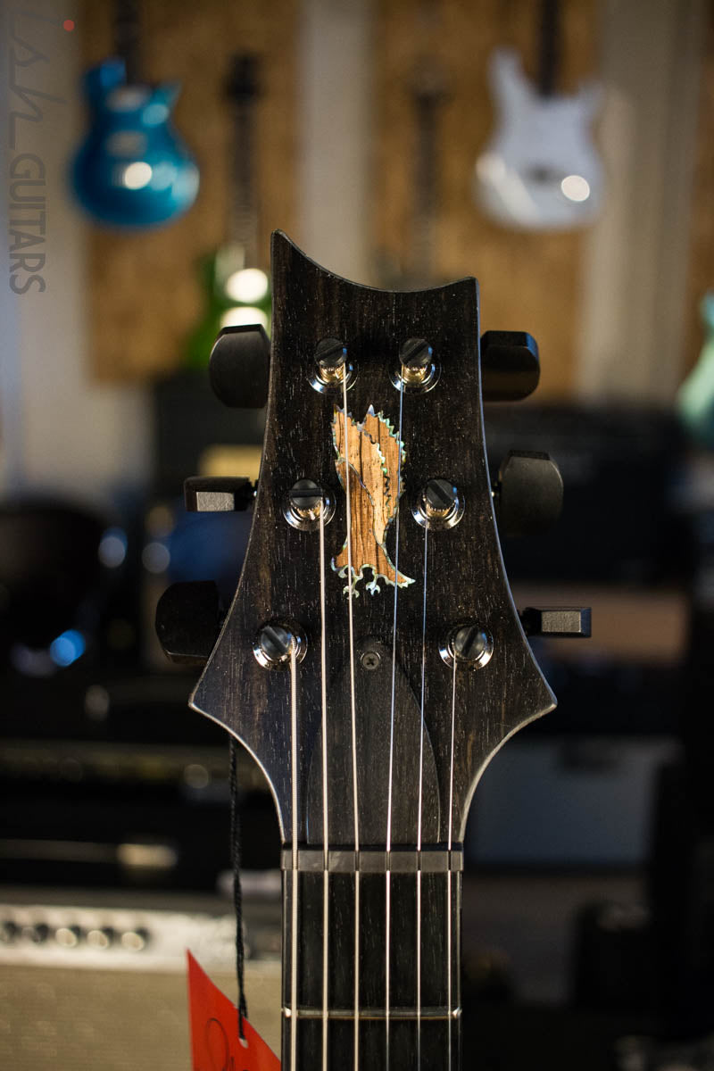 2018 PRS Experience Private Stock Custom 24 Zebrawood 305 Pickup (DEMO VIDEO)