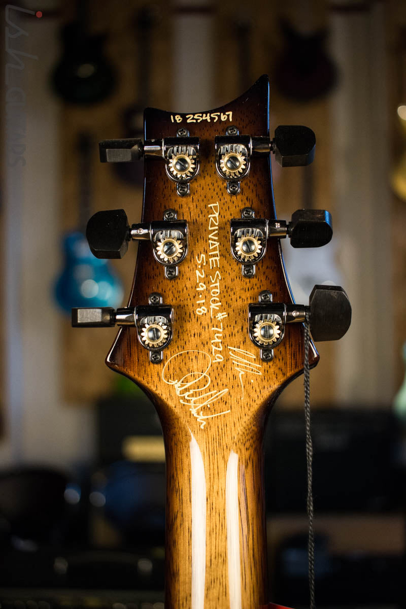 2018 PRS Experience Private Stock Custom 24 Zebrawood 305 Pickup (DEMO VIDEO)