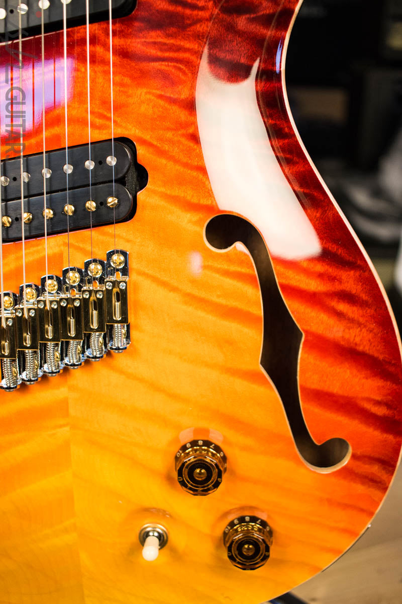 2018 Paul Reed Smith PRS Private Stock Custom 24 Multi Scale "Spirit" Double Semi-Hollow (DEMO VIDEO)