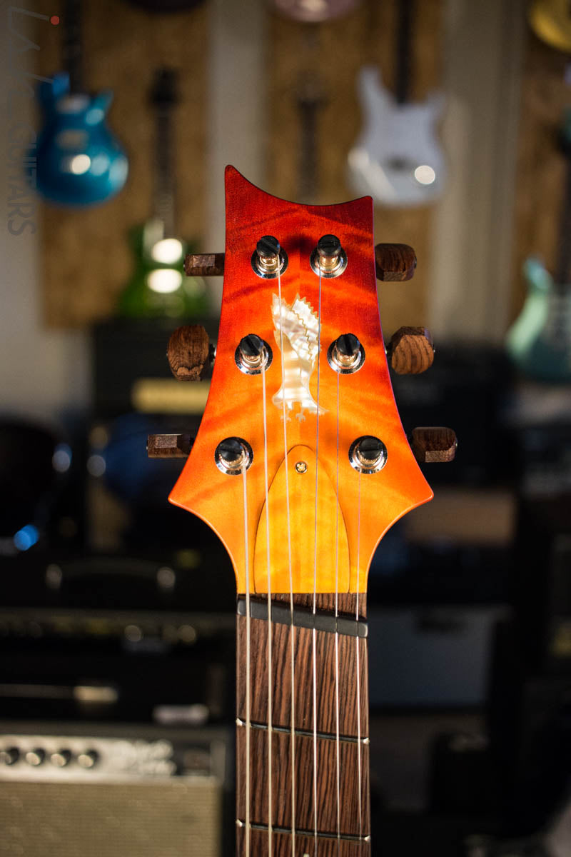 2018 Paul Reed Smith PRS Private Stock Custom 24 Multi Scale "Spirit" Double Semi-Hollow (DEMO VIDEO)