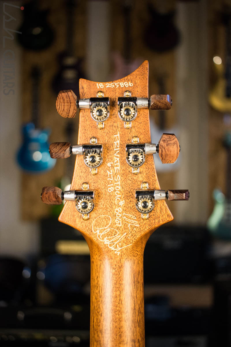 2018 Paul Reed Smith PRS Private Stock Custom 24 Multi Scale "Spirit" Double Semi-Hollow (DEMO VIDEO)