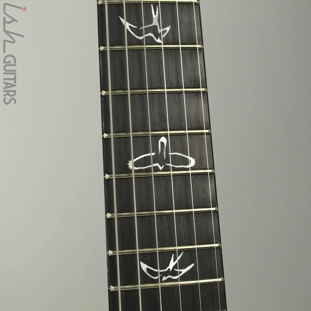 PRS Paul Reed Smith Wood Library Custom 24 Platinum Metallic Silver (DEMO VIDEO)