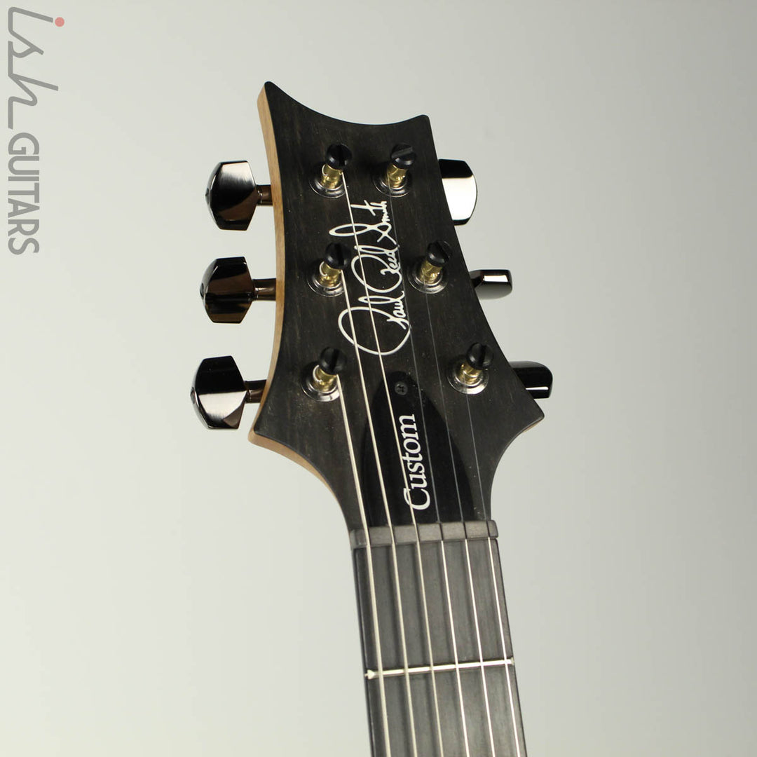 PRS Paul Reed Smith Wood Library Custom 24 Platinum Metallic Silver (DEMO VIDEO)