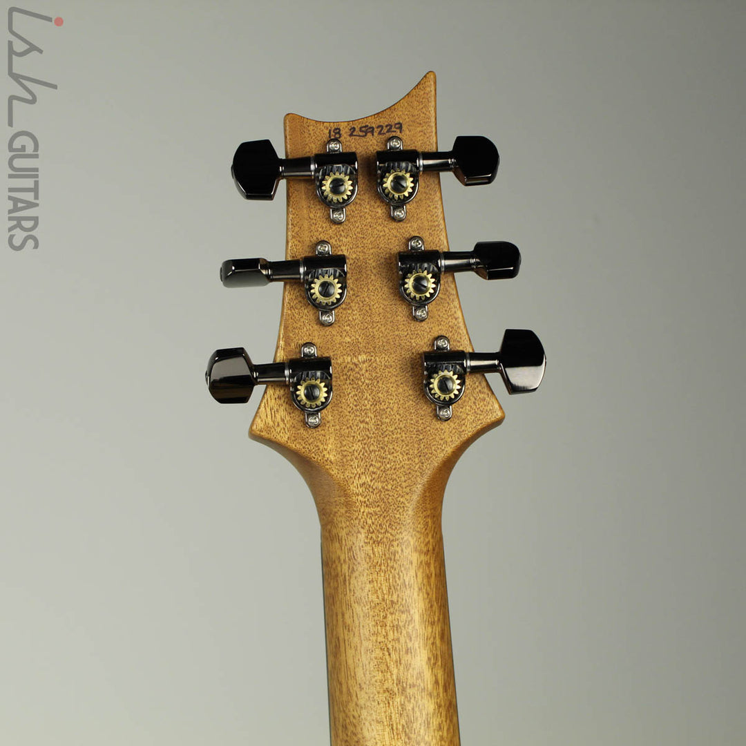 PRS Paul Reed Smith Wood Library Custom 24 Platinum Metallic Silver (DEMO VIDEO)