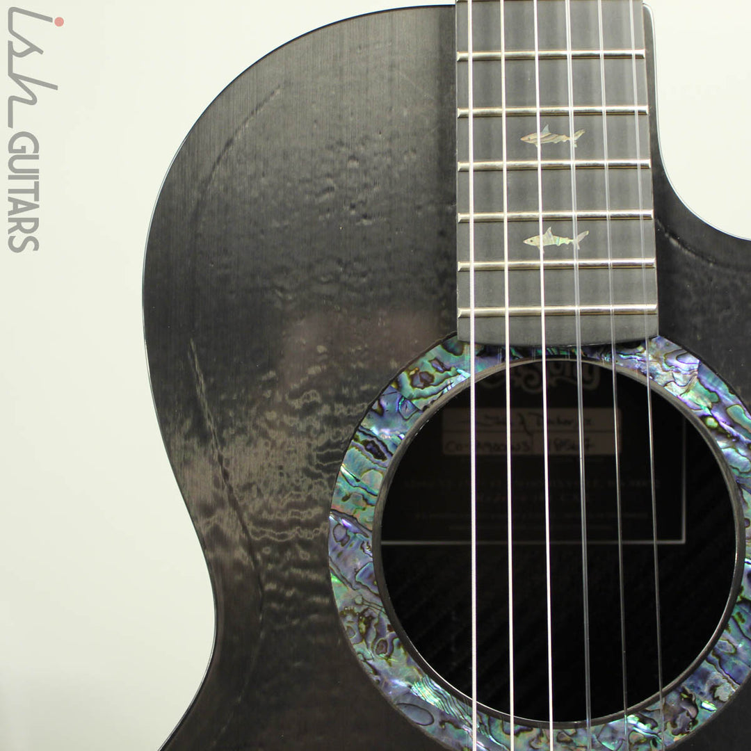 Rainsong CO-PA9000NS Concert Series Parlor Nylon Carbon Fiber Acoustic