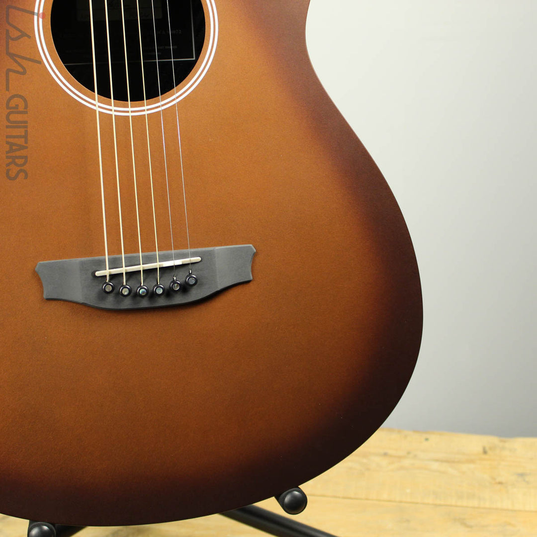 RainSong APSE Al Petteway Special Edition