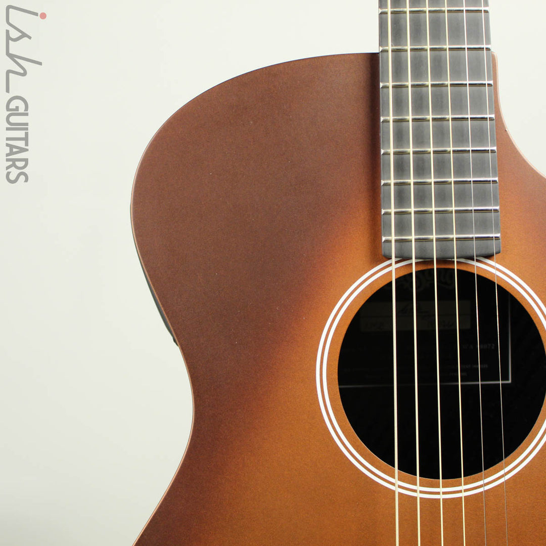 RainSong APSE Al Petteway Special Edition