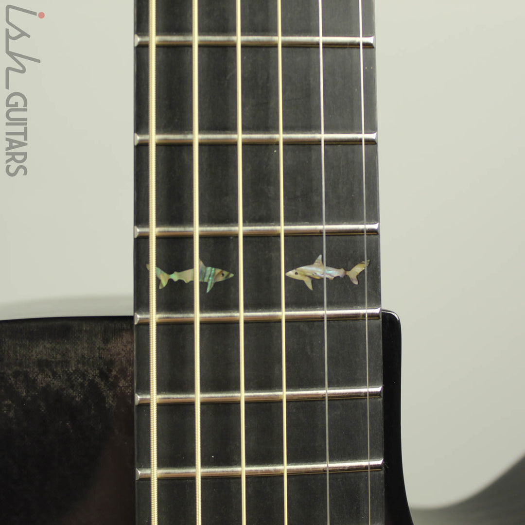 RainSong CH-WS1000NS Carbon Fiber Acoustic Electric Guitar