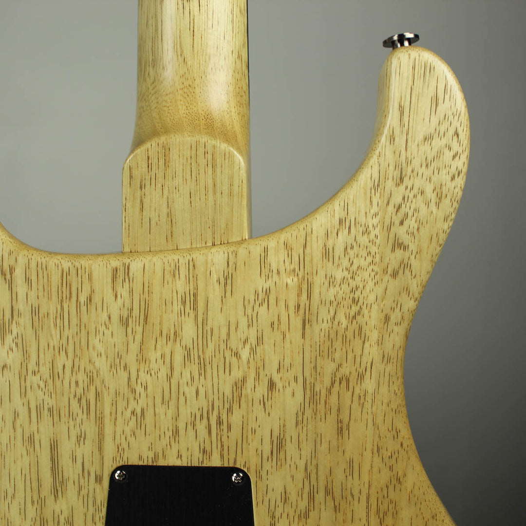 2019 PRS Wood Library Special 22 Aquabluex Satin