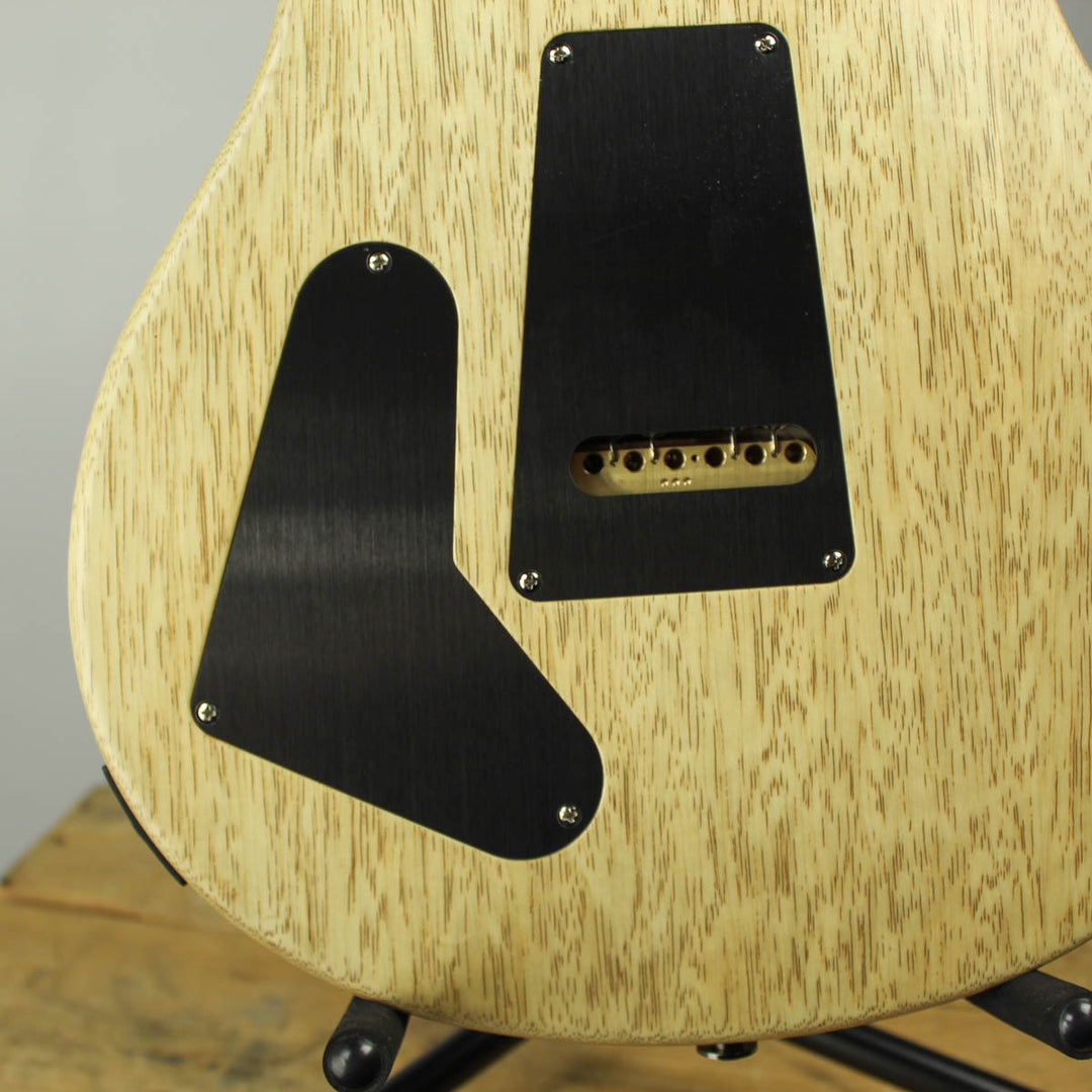 2019 PRS Wood Library Special 22 Aquabluex Satin