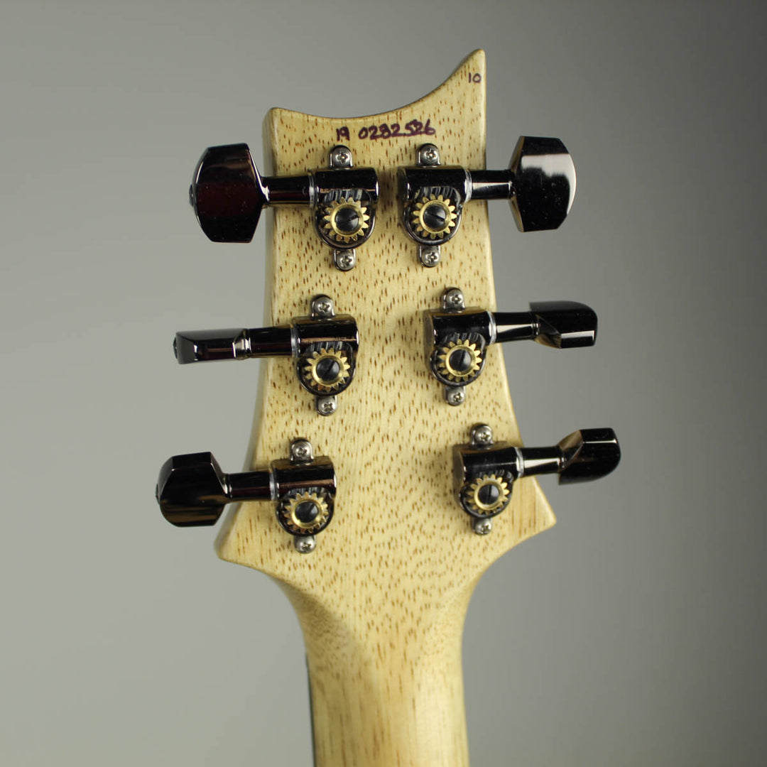 2019 PRS Wood Library Special 22 Aquabluex Satin