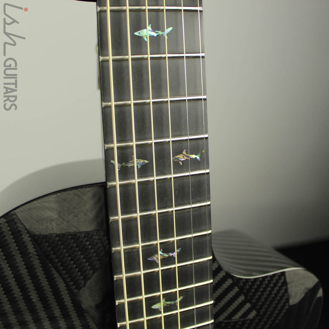 RainSong BI-PA1000NS Black Ice Parlor