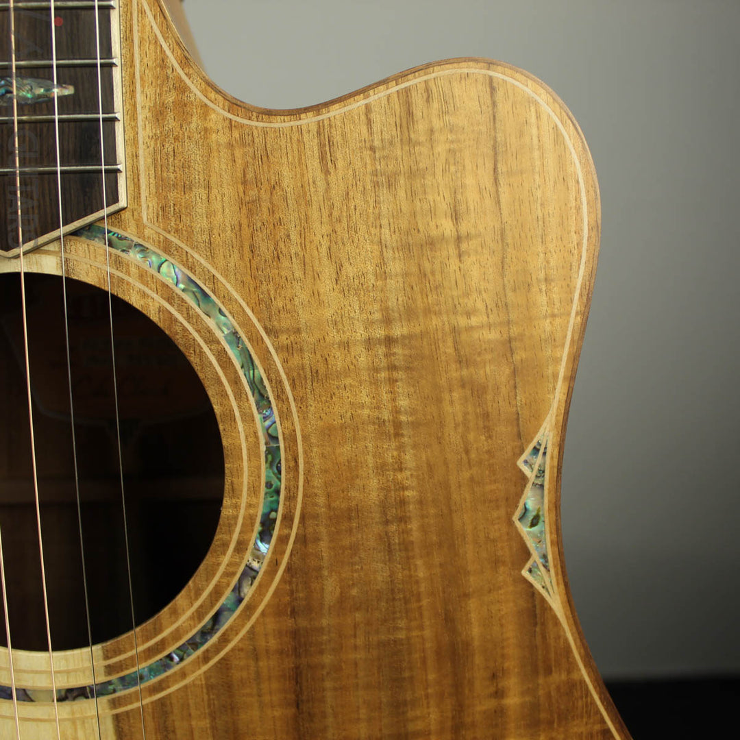 Cole Clark Fat Lady FL3EC-BLBL Blackwood/Blackwood