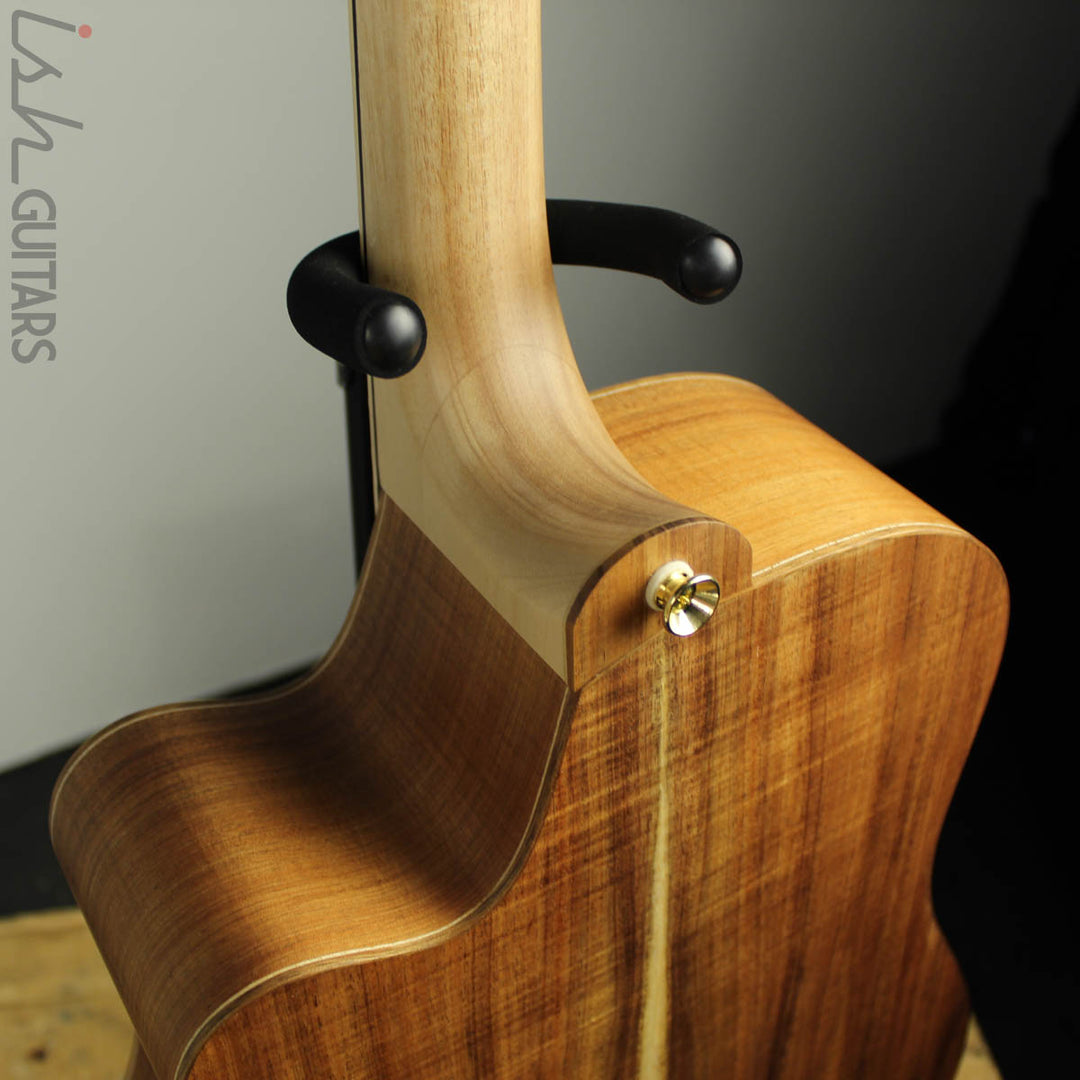 Cole Clark Fat Lady FL3EC-BLBL Blackwood/Blackwood