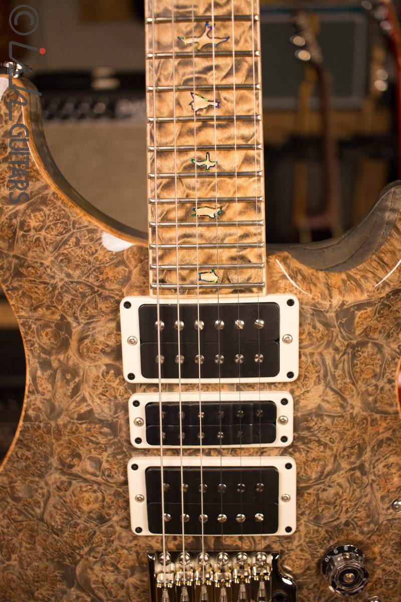 Paul Reed Smith PRS Private Stock Custom 24 Ish Guitars Exclusive
